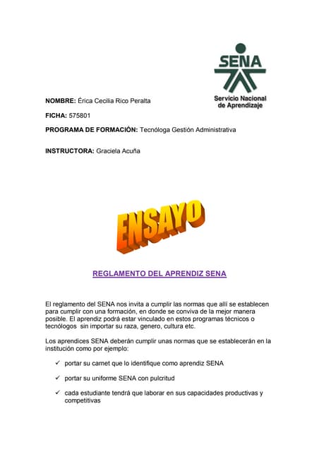 Ensayo:  Reglamento del aprendiz se...