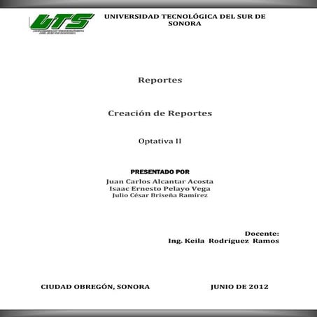 Ensayo Report Visual Studio