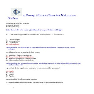 Ensayosimce4 131012200627-phpapp01