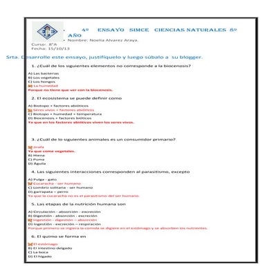 Ensayo  Simce 4