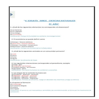 Ensayosimcenatcinned8n3blogger 1310...