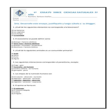 Ensayosimcenatcinned8n3blogger 131007123536-phpapp02