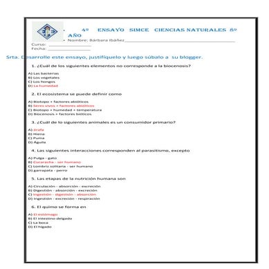 Ensayosimcenatcinned8n3blogger 131007123536-phpapp02 (1)