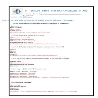 ensayo simce 4