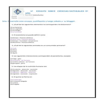 Ensayosimcenatcinned8n3blogger 1310...