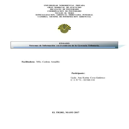 Ensayo sistemas de informacion