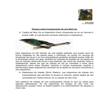 Componentes de una red lan