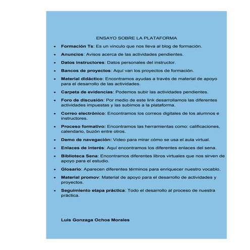 Ensayo sobre la plataforma