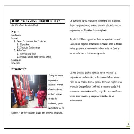 Detox: Por un mundo libre de tóxicos