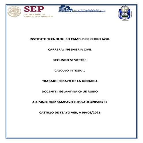 ensayo unidad 4. luis.pdf