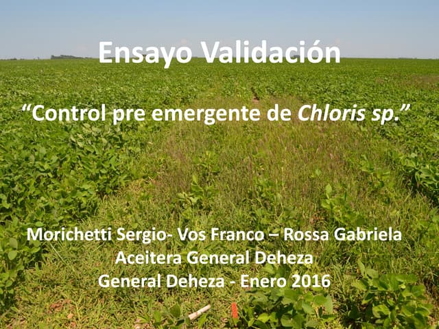 Ensayo validación agrotestigo- Cont...