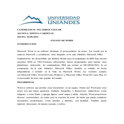 Ensayo word