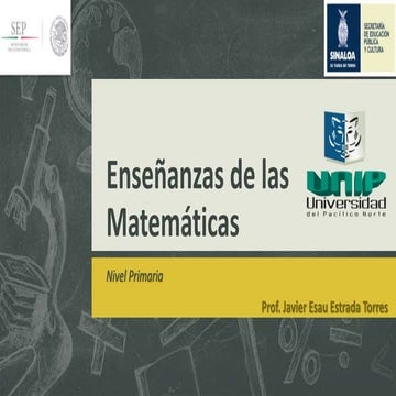 Enseñanzas de las matemáticas nivel primaria