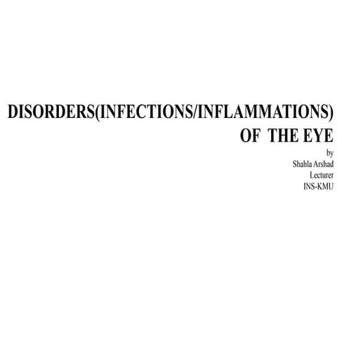 Presentation on stye...pdf