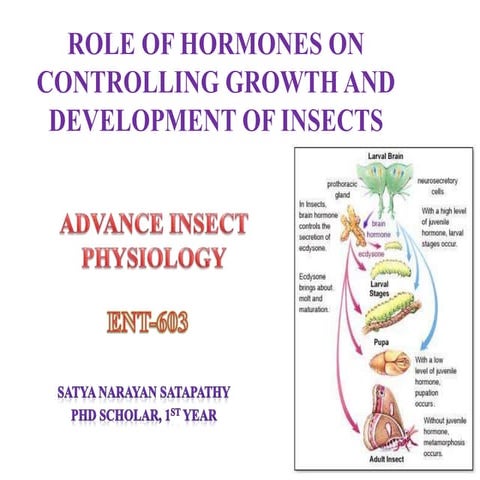 Role of Insect hormones