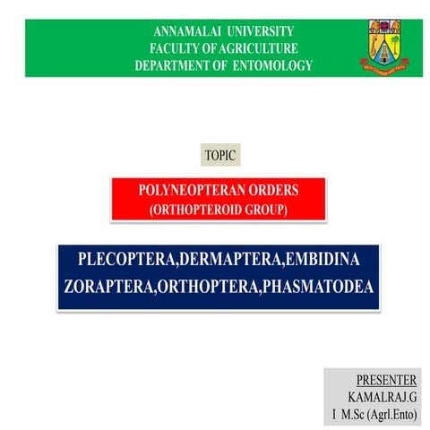 Polyneopteran Insect Orders.pptx