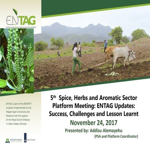 Entag presentation on 4th spice platform meeting | PPT