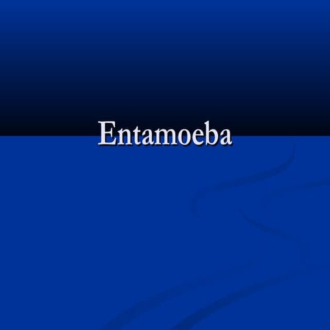 Entamoeba