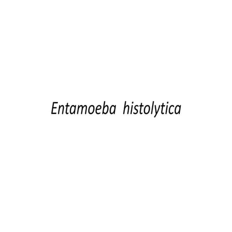 Entamoeba  histolytica