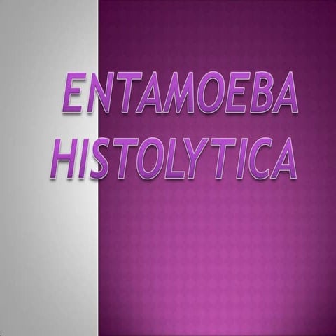 Entamoeba histolytica. Medical parasitology pptx
