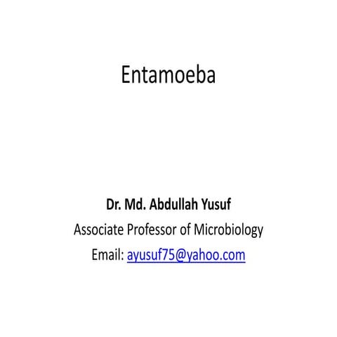Entamoeba histolytica 2020