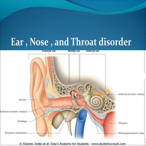 Ear,Nose and throat Disorders...