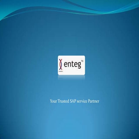 Enteg- Sales Presentation