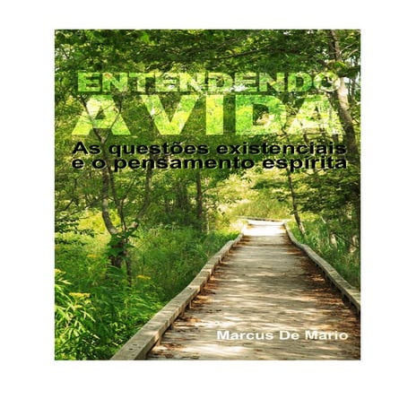 Entendendo a vida evo consolador