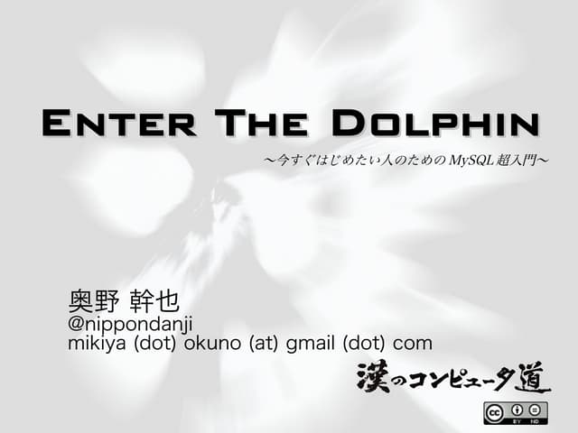 Enter the-dolphine