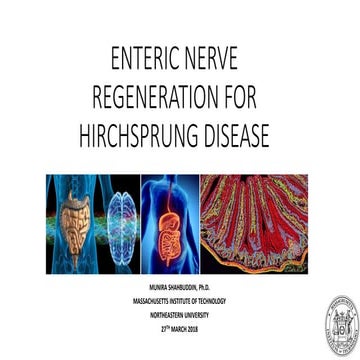 Enteric nerve regeneration for hirchsprung disease 27.3.2018