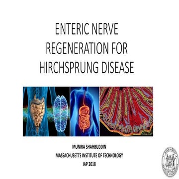 Enteric nerve regeneration for Hirchsprung disease 