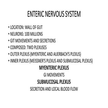 Enteric nervous system