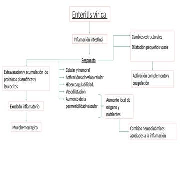 enteritis virica inflamacion intestinal.