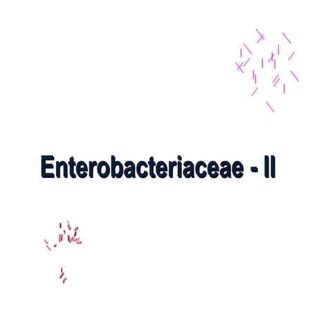 Enterobacteriacaefdggscgjkrehiteeuioh.ppt