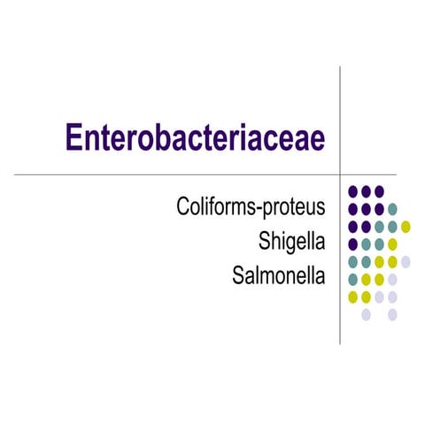 Enterobacteriaceae
