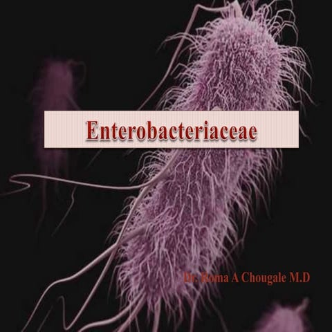 Enterobacteriaceae