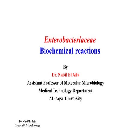 Enterobacteriacea i   biochemical reaction بكتريا عملي 