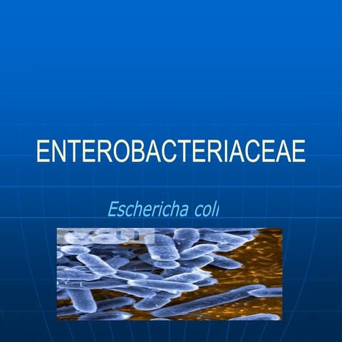 Enterobacterias