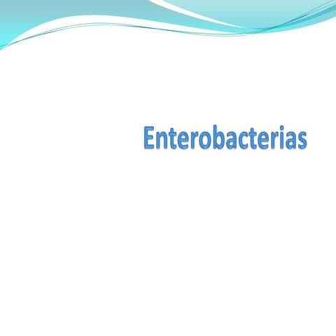 Enterobacterias