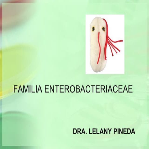 Enterobacterias