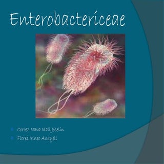 Enterobacterias