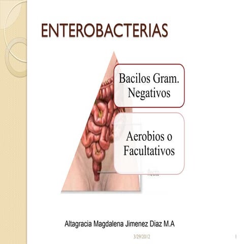 Enterobacterias  curso  virtual  segunda versión 2012