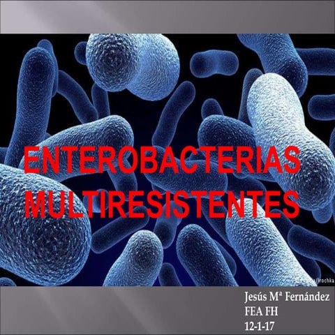 Enterobacterias multirresistentes | PPTX
