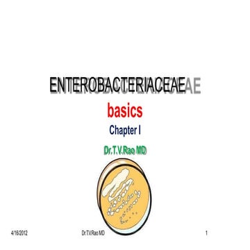 enterobactericeae.pptx