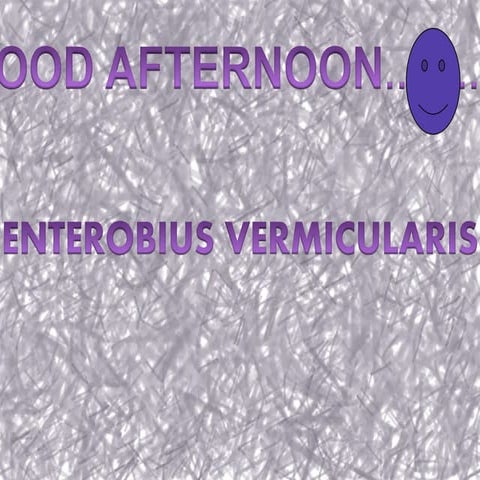 Enterobius