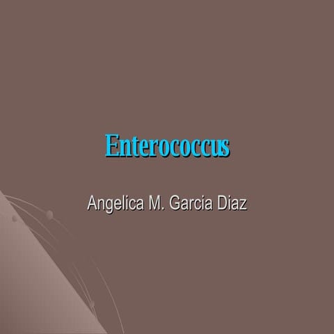 Enterococcus
