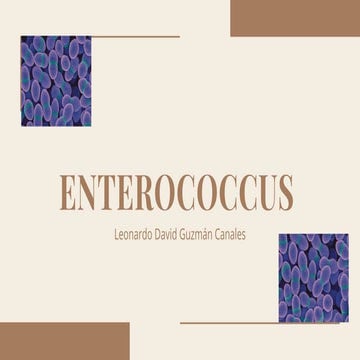 Enterococcus spp | PPTX