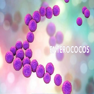 Enterococcus spp | PPTX
