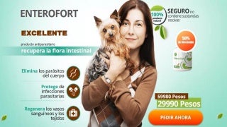 Arthromax Ingredientes Dietica Chile