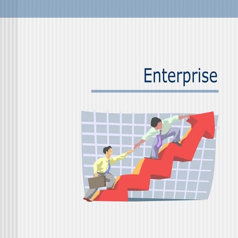 Enterprise